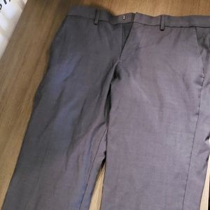 Dress pants